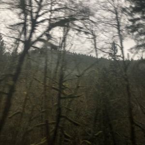 Meet your Posher, Maya